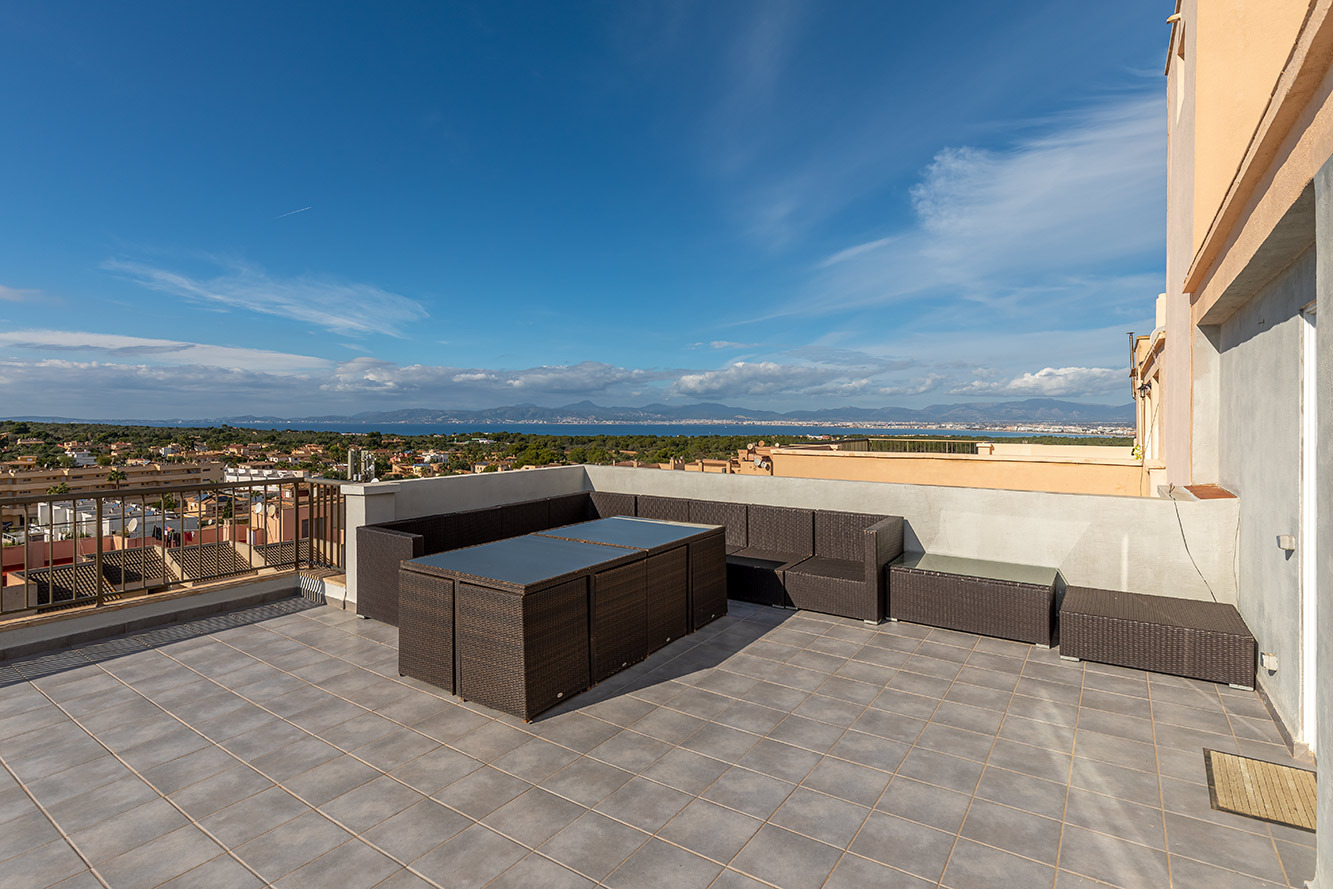 Penthouse, Les Palmeres