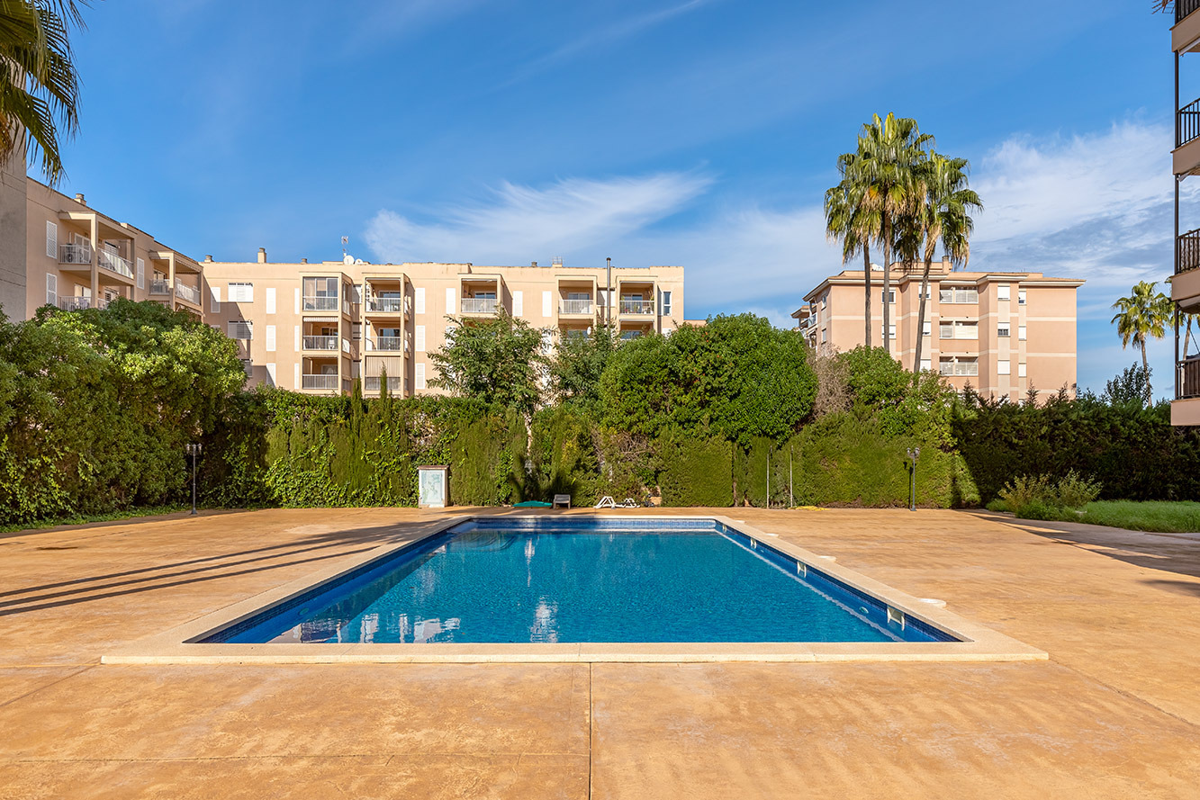 Penthouse, Les Palmeres