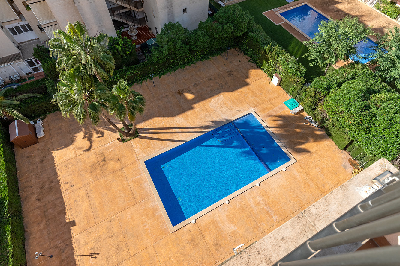 Penthouse, Les Palmeres