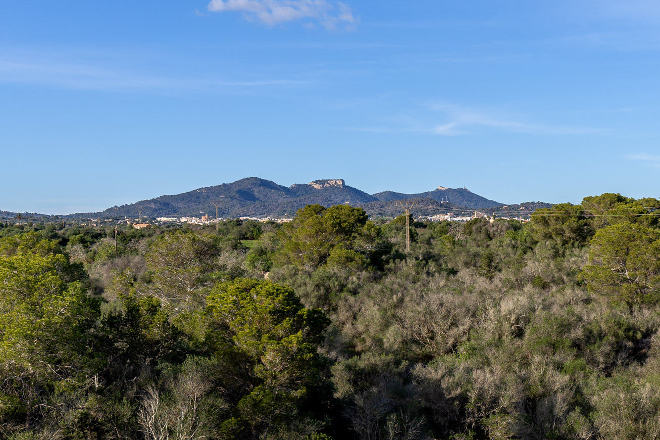 Wohnung, Cala d'Or