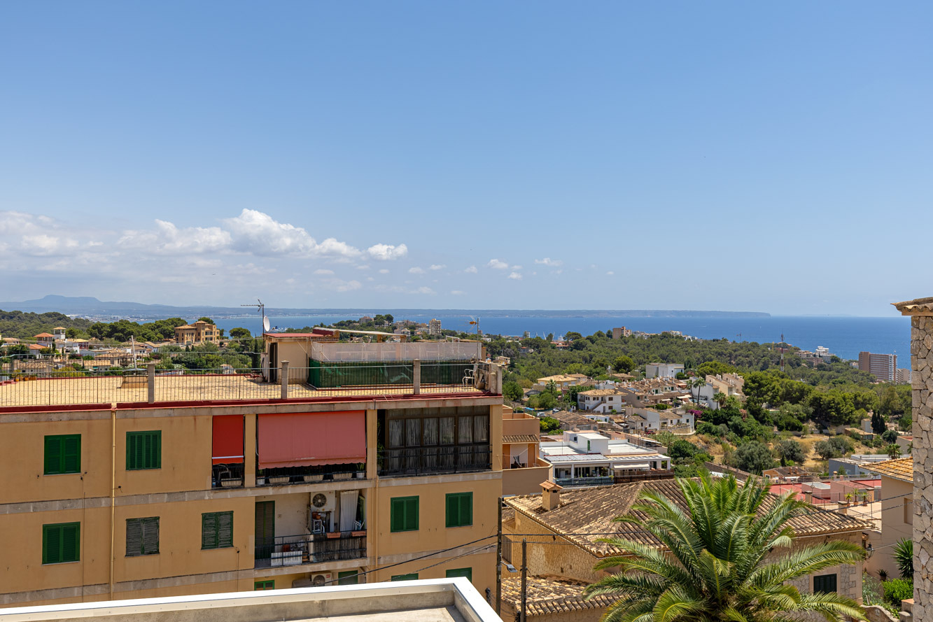 Reihenhaus, Genova