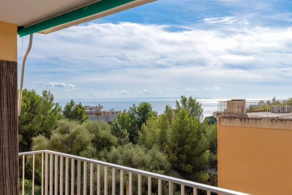 Properties With Sea Views For Sale In Mallorca Best Location By The Sea