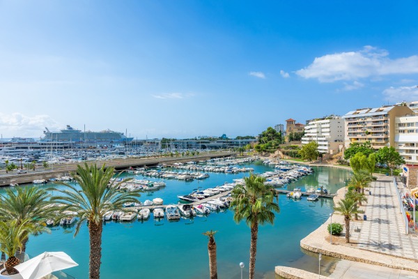 Apartment with views of the sea and harbor in Can Barbara