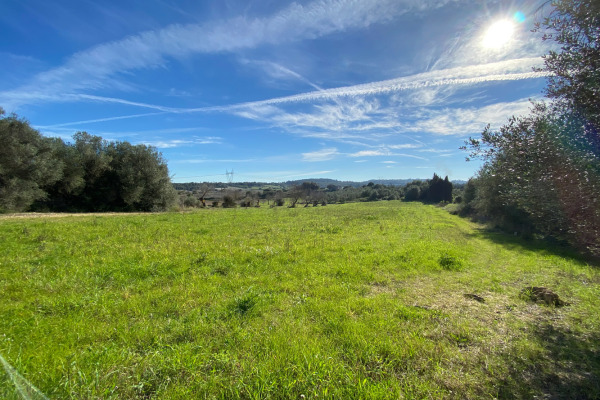 Plot with submitted building project near the village of Muro in the north image 5