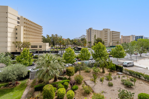 Modern apartment close to the beach in a central location in Palmanova image 7