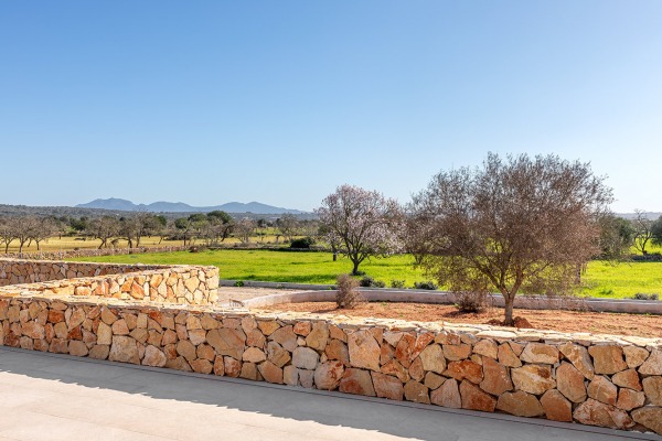 Newly built finca in modern style near Campos image 3