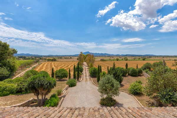 Beautiful finca with lots of land for sale between Felanitx and Vilafranca image 7