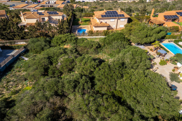 Building plot in an elevated position with a wide view of the Bay of Palma image 2