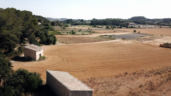 Exclusive new-build country house in the center of the island of Mallorca image 9