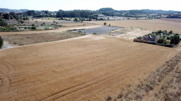 Exclusive new-build country house in the center of the island of Mallorca image 10