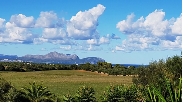 Finca in a quiet location near Santa Margalida image 9