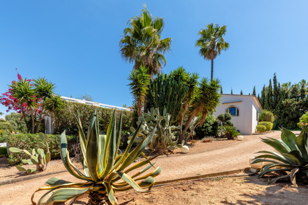 Mediterranean-style villa with lots of potential in the southwest of Mallorca image 12