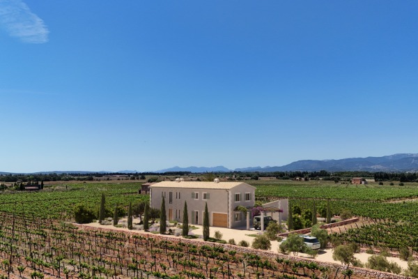 Exclusive new-build finca with its own vineyard between Sencelles and Binissalem image 8