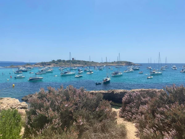 Properties With Sea Views For Sale In Mallorca Best Location By The Sea