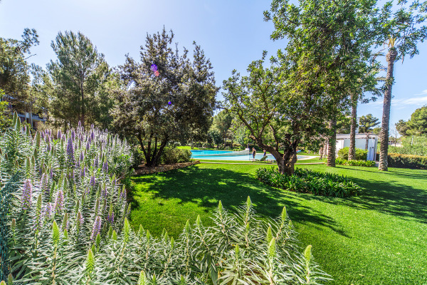 Penthouse apartment in Bendinat near the golf course image 2