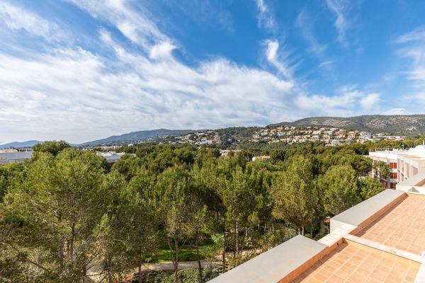 Penthouse apartment in Bendinat near the golf course image 7