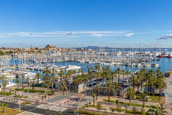 Exclusive apartment on the Paseo Marítimo, opposite Palma's marina
