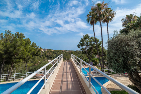 Mediterranean ground floor apartment on the Bendinat golf course image 12