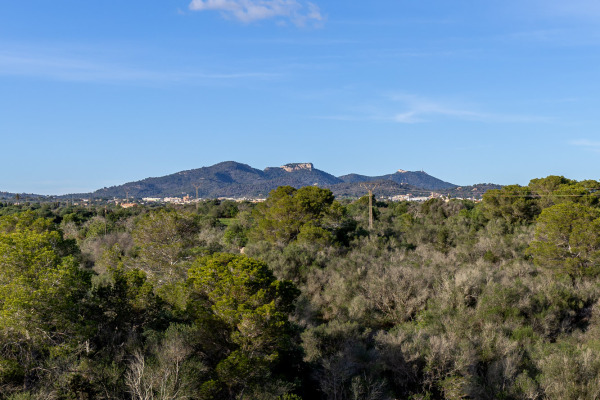 Modern apartment close to the natural harbor of Cala d'Or image 12