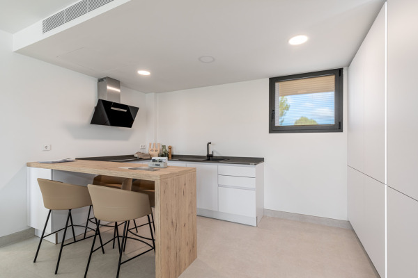 New build garden apartment near Es Trenc beach image 3