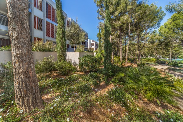 Spacious apartment in modern residential complex on the Bendinat golf course image 12