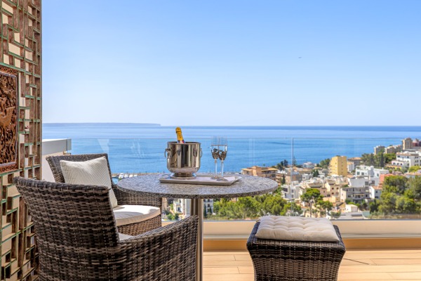 Penthouse with stunning panoramic views over the rooftops of San Agustín image 7