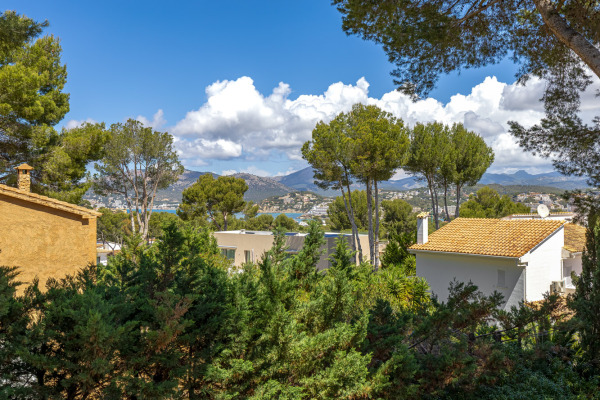 Completely renovated villa with holiday rental licence in Santa Ponsa image 6