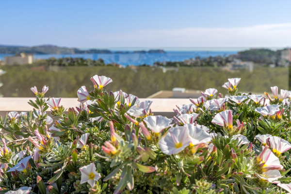 Sa Puntassa: New luxury apartment complex in the southwest image 6