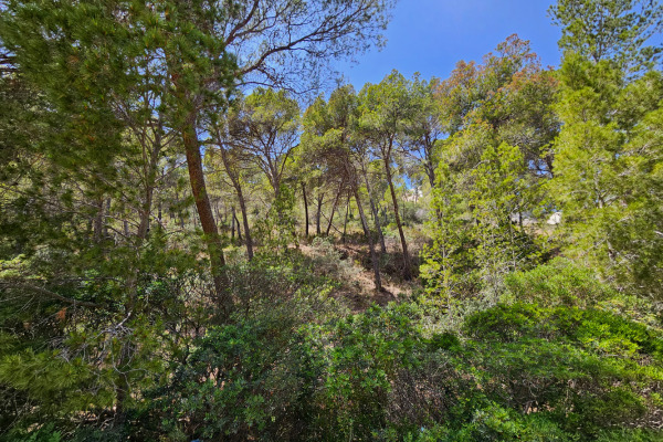 Large building plot with sea and harbor views in a quiet location image 3