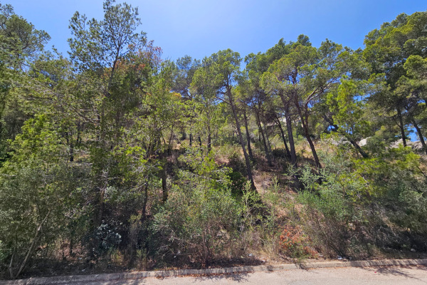 Sea view building plot with project for a modern villa in Port Andratx image 3