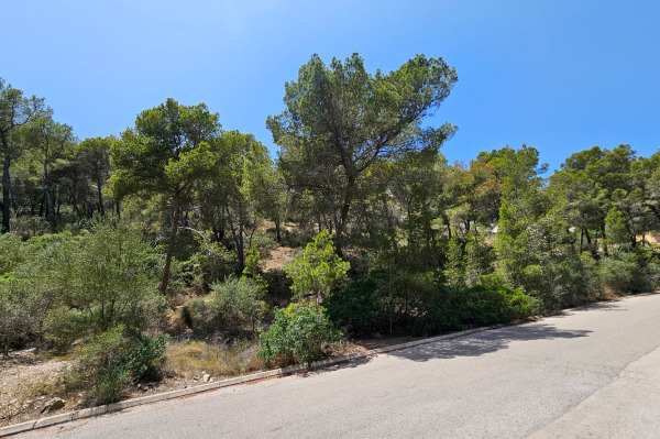 Sea view building plot with project for a modern villa in Port Andratx image 5