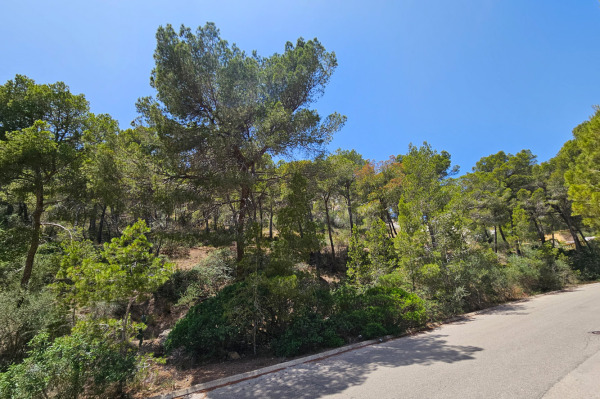 Sea view building plot with project for a modern villa in Port Andratx image 6