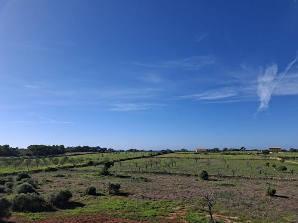 Natural stone new-build finca with stunning panoramic views near Ses Salines image 6