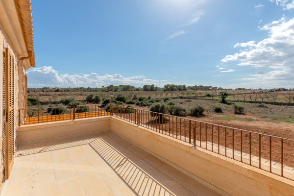 Newly built natural stone finca with pool near Ses Salines image 11