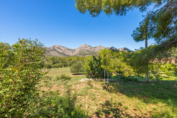 Large and exclusive plot with agricultural possibilities in Bunyola image 2