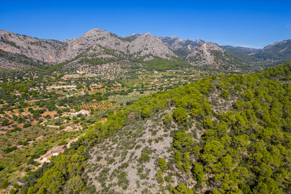 Large and exclusive plot with agricultural possibilities in Bunyola image 6