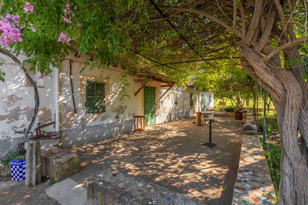 Large and exclusive plot with agricultural possibilities in Bunyola image 12