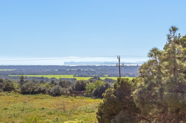 Modern penthouse with large roof terrace in Ses Salines image 2